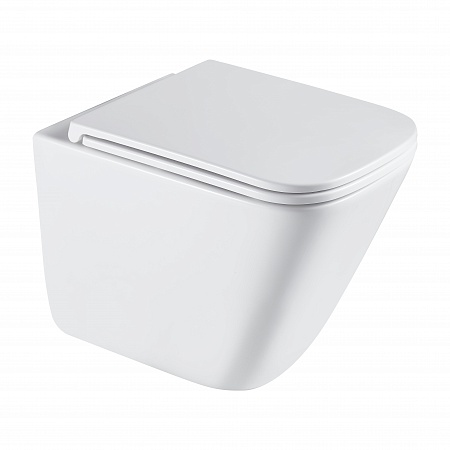 Подвесной унитаз безободковый Terminus Ватикан Монолит 490х340 белый Мытищи - фото 2